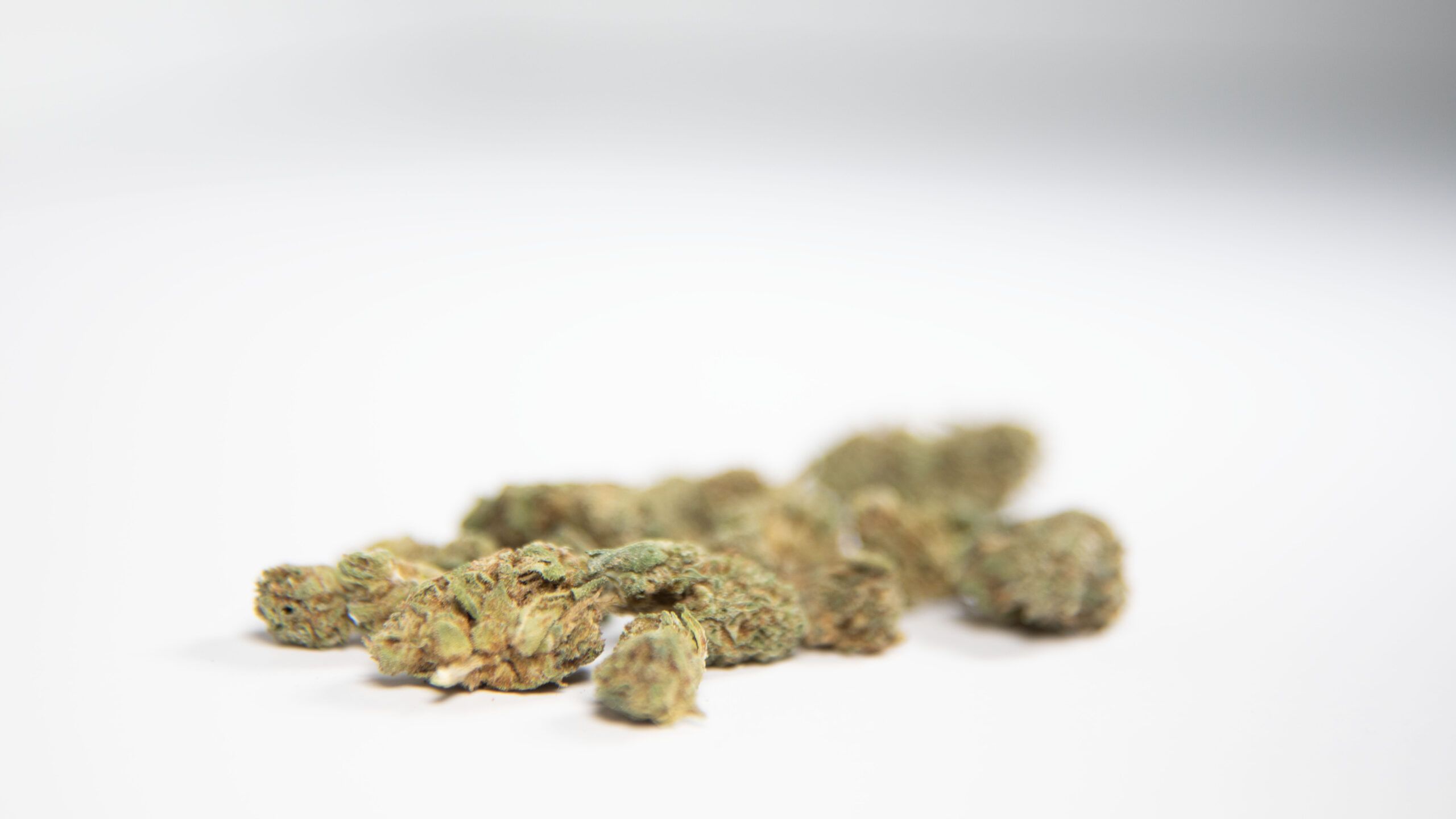 A Second Shot at Legalization: Florida’s 2026 Cannabis Push